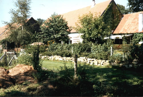 hinterm Haus